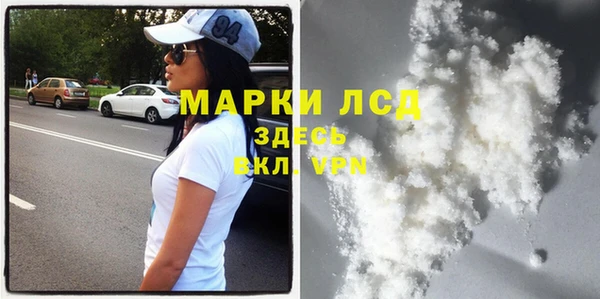 apvp Алзамай