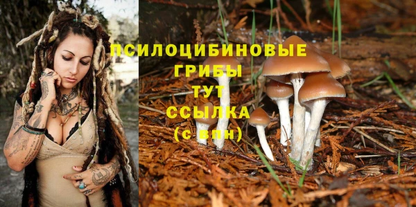 сатива Алексеевка