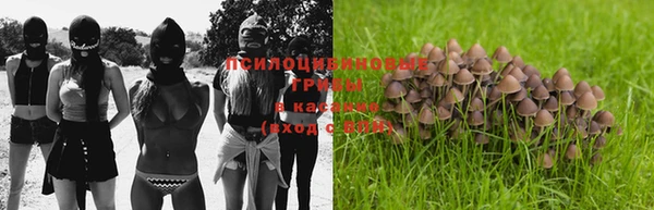 прущие крисы Абаза